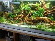 DSC02553.jpg