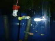Image00001.jpg