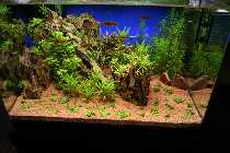 IMG_8817A.jpg
