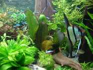 DSC03085.jpg