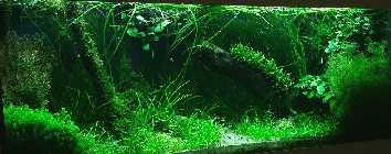 20141104_191955.jpg