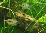 20141029_165339.jpg