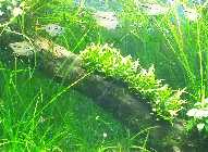 20141029_165327.jpg