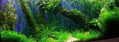 20141122_164422.jpg