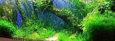 20141122_164505_2.jpg