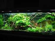 2014-12-01 18.34.44.jpg