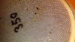 20150113_174643.jpg