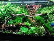 IMG_20150116_152439.jpg