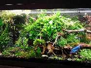 IMG_20150116_152521.jpg