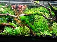 IMG_20150116_152622.jpg