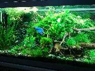 IMG_20150116_153226.jpg