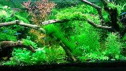IMG_20150116_153434.jpg
