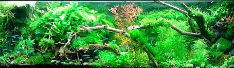 IMG_20150116_152925.jpg