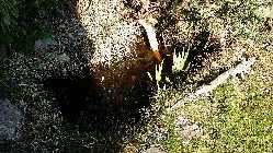 20150320_152914.jpg