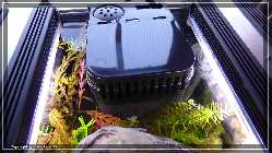comp_P1000086.jpg