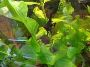 dsc03900.jpg