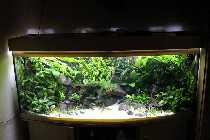 Aqua3_(1024_x_768).jpg