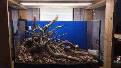20125-09-27_Hardscape mit LED.jpg