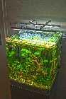 comp_aquarium.jpg