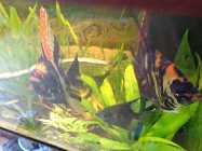 dsc04405.jpg