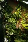 20080720_0106_1.jpg