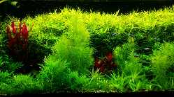 IMG-20160521-WA0004.jpg