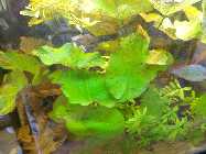 dsc04480.jpg