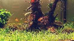 07_20161030_205439.jpg