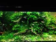 img2017012817n05y7id6p4.jpg
