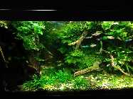 img2017012817vt9rnhw5gi.jpg