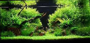 KONTEST 1 024_(800_x_600).jpg