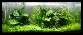 200 Liter 22052008-1klein.jpg