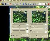 IV Bild 11 Helligkeit und Kondrast.gif