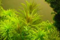 080826update63L-detail01sma.jpg