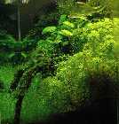 080828update-63L-sideview.jpg