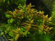 080911update-63LteilwNAL.jpg