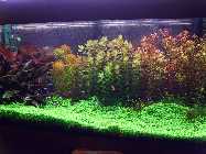 aqua14.09.2008 001.jpg