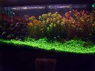 aqua14.09.2008 014.jpg