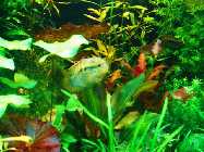 DSC00115.jpg