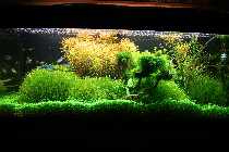 20.03.08 letztebilder 300liter 007_(800_x_600).jpg