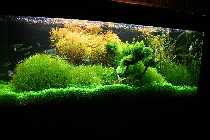 20.03.08 letztebilder 300liter 004_(800_x_600).jpg