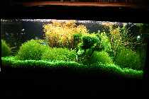 20.03.08 letztebilder 300liter 005_(800_x_600).jpg