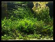 Becken 08.11.08_6.jpg