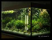 Becken 08.11.08_9.jpg