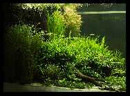 Becken 08.11.08_4.jpg