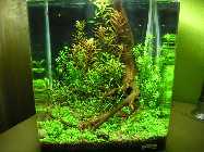 NC 0017 7.11 (3).infran.jpg