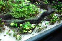 DSC03200-small.jpg