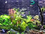 100_7190.jpg