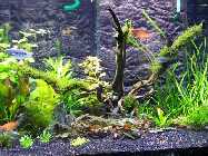 100_7191.jpg