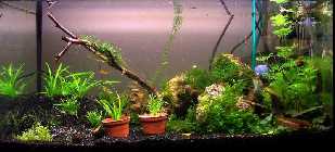 100_7194.jpg